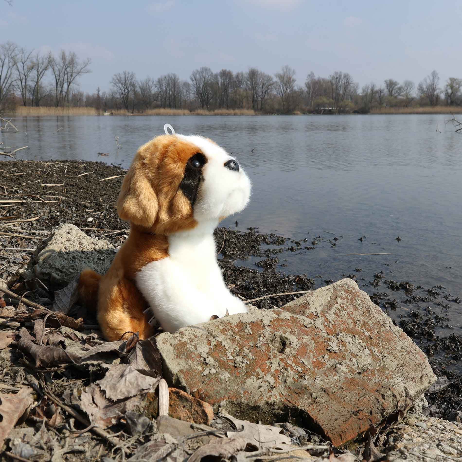 Plyšový Saint Bernard 20 cm Ekologický