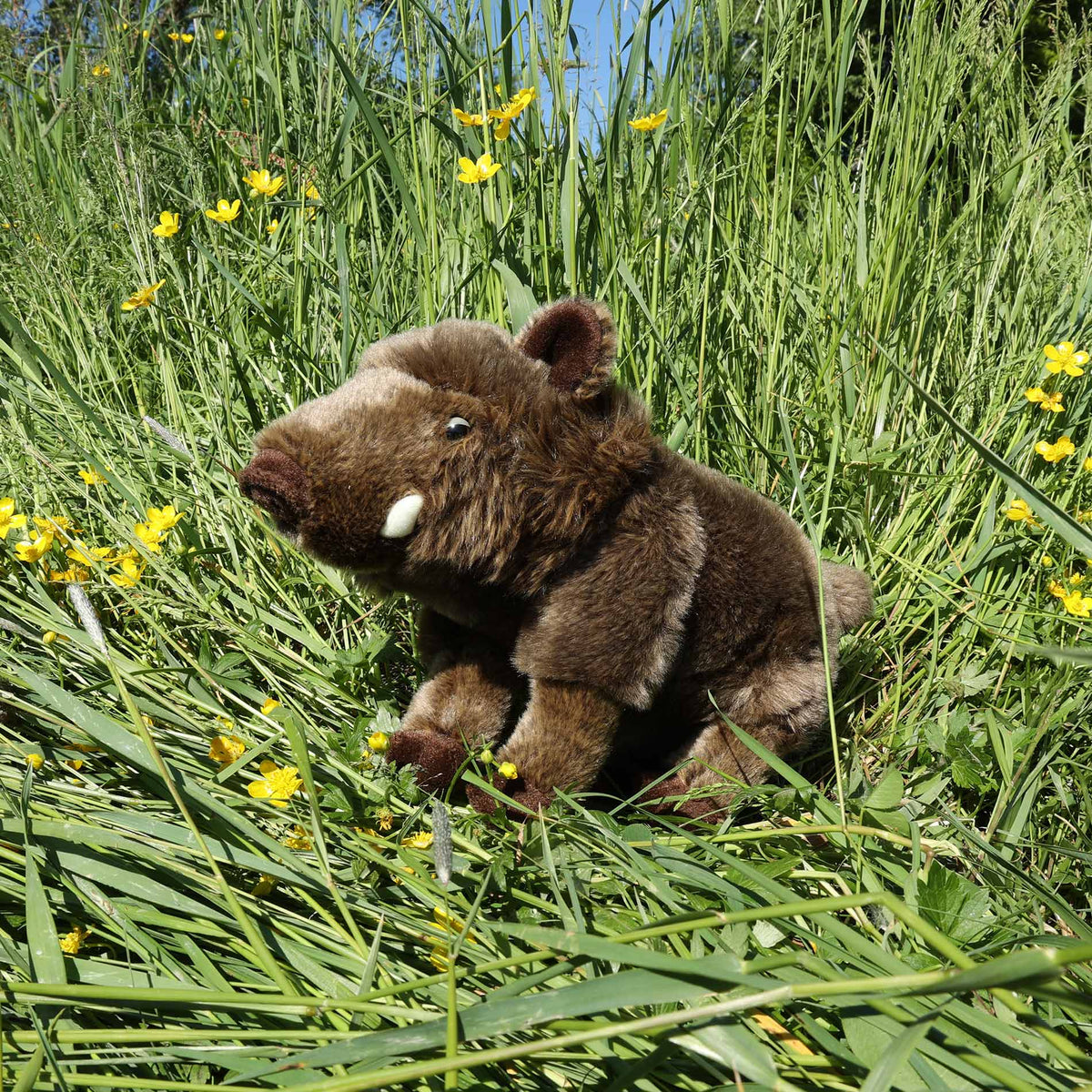 Peluche Cinghiale 28 Cm Ecologico
