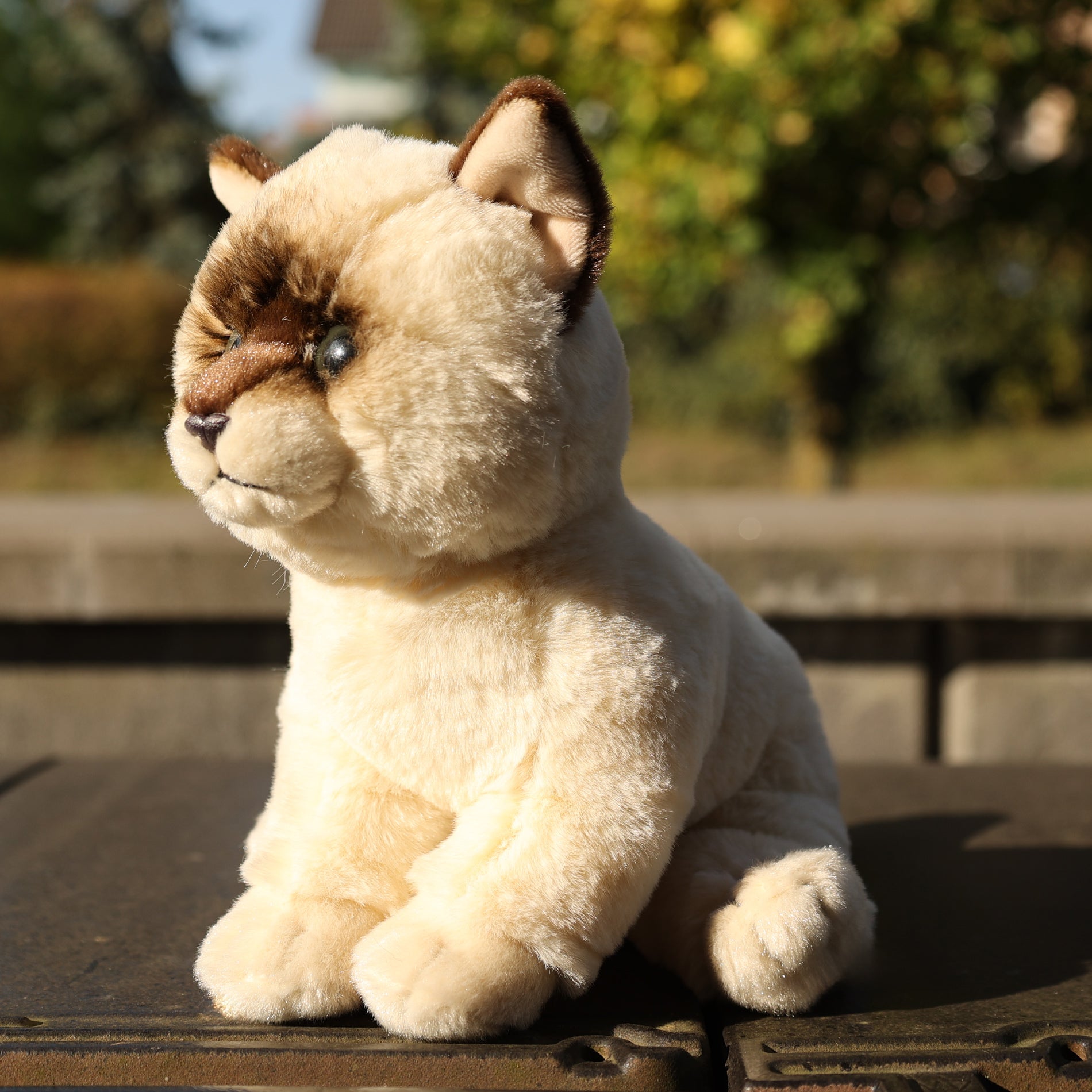 Plüss Cat Ragdoll 23 cm Környezetbarát puha