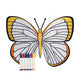 Butterfly Yellow Wings To Color