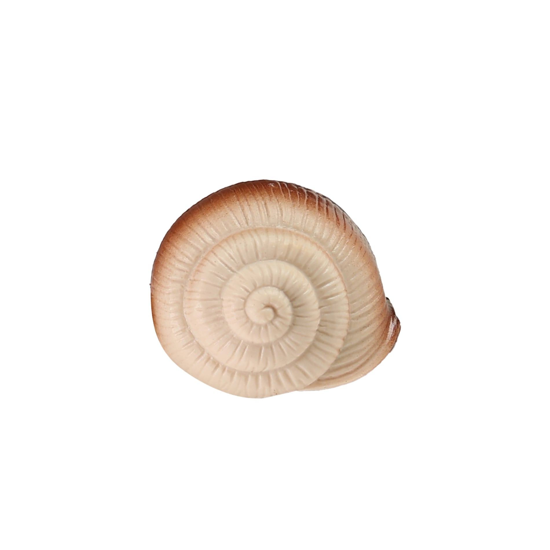 Snail 11 Cm