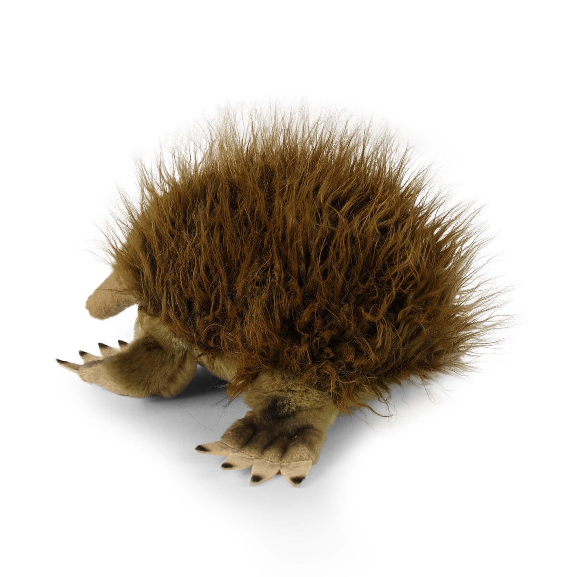 Plush Echidna 24 Cm Eco-friendly