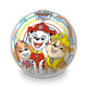 Инф. Топка Paw Patrol 22 см био топка