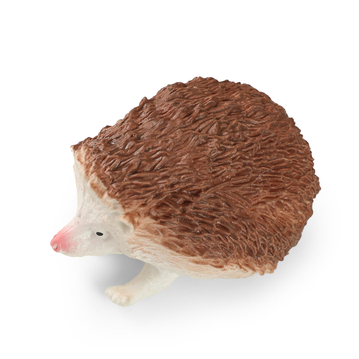 Jeż