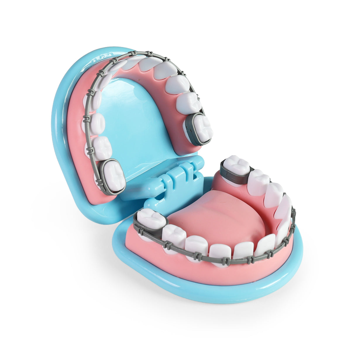 Little Dentist Set
