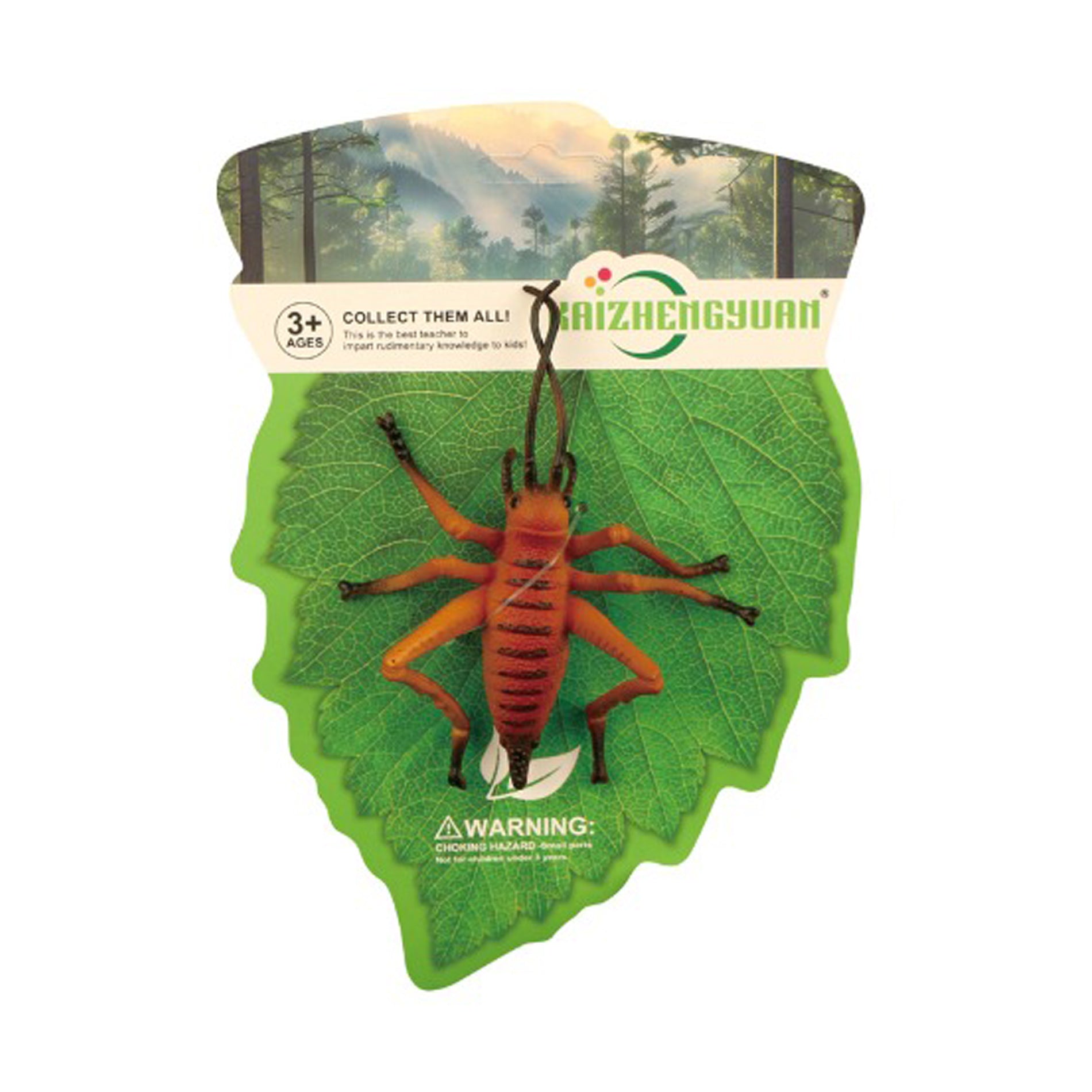 Insect - Cricket 10 Cm