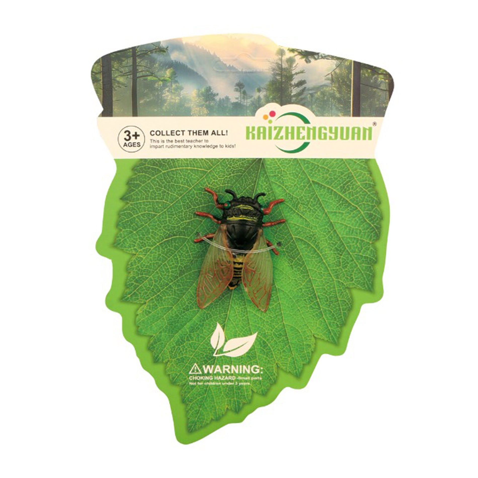 Insect - Cicada 6 Cm