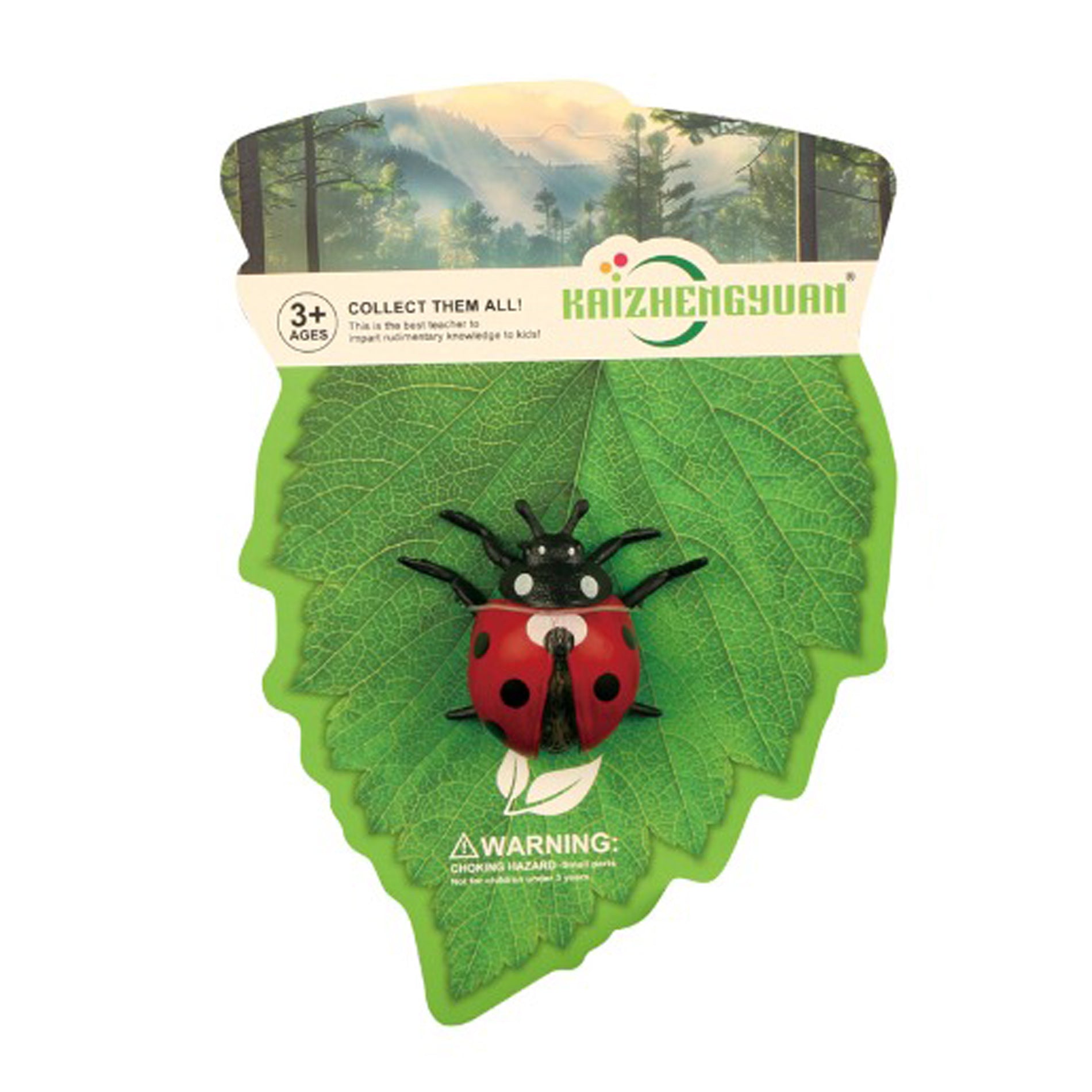 Insect - Seven-spotted Ladybug 5 Cm
