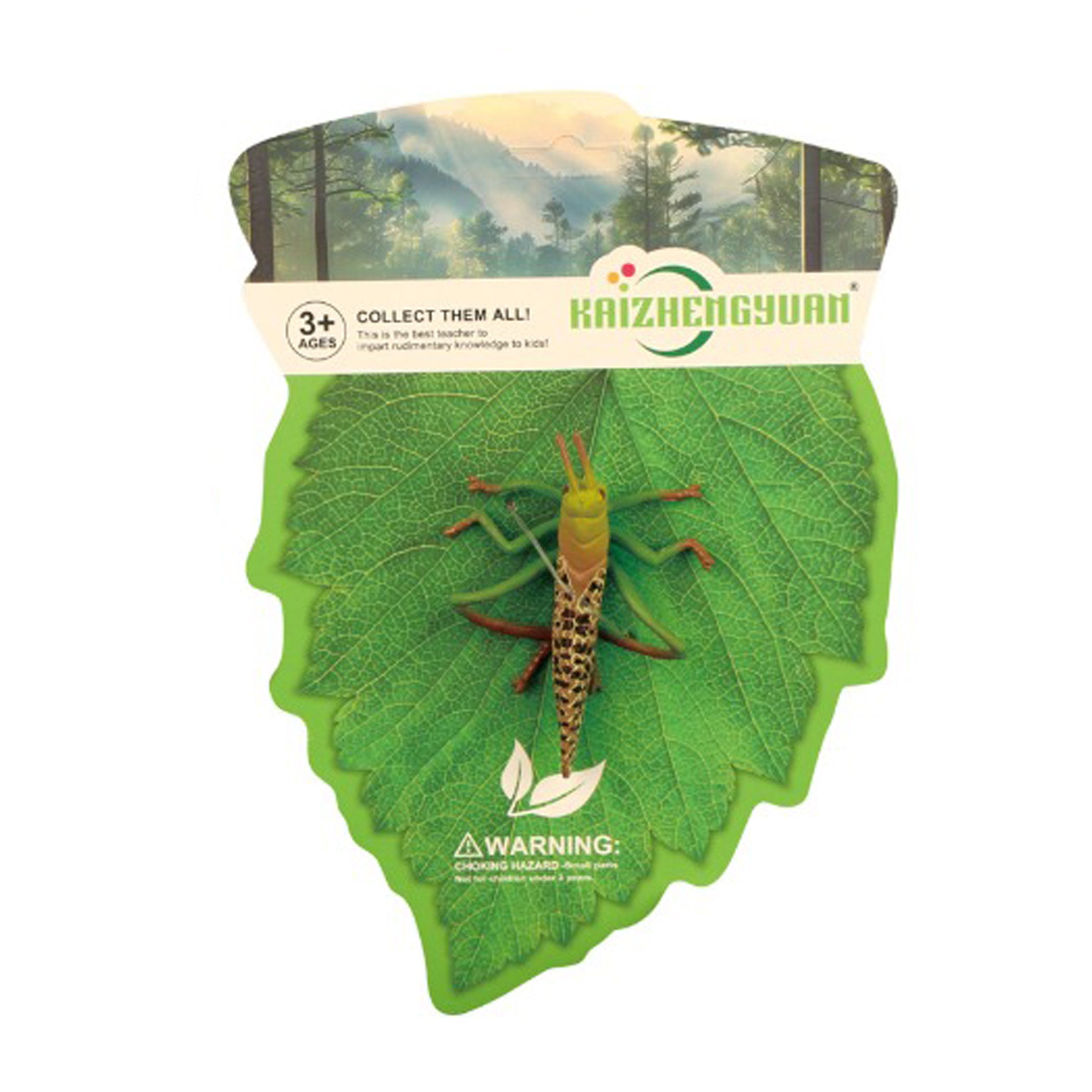 Insect - Locust 7 Cm