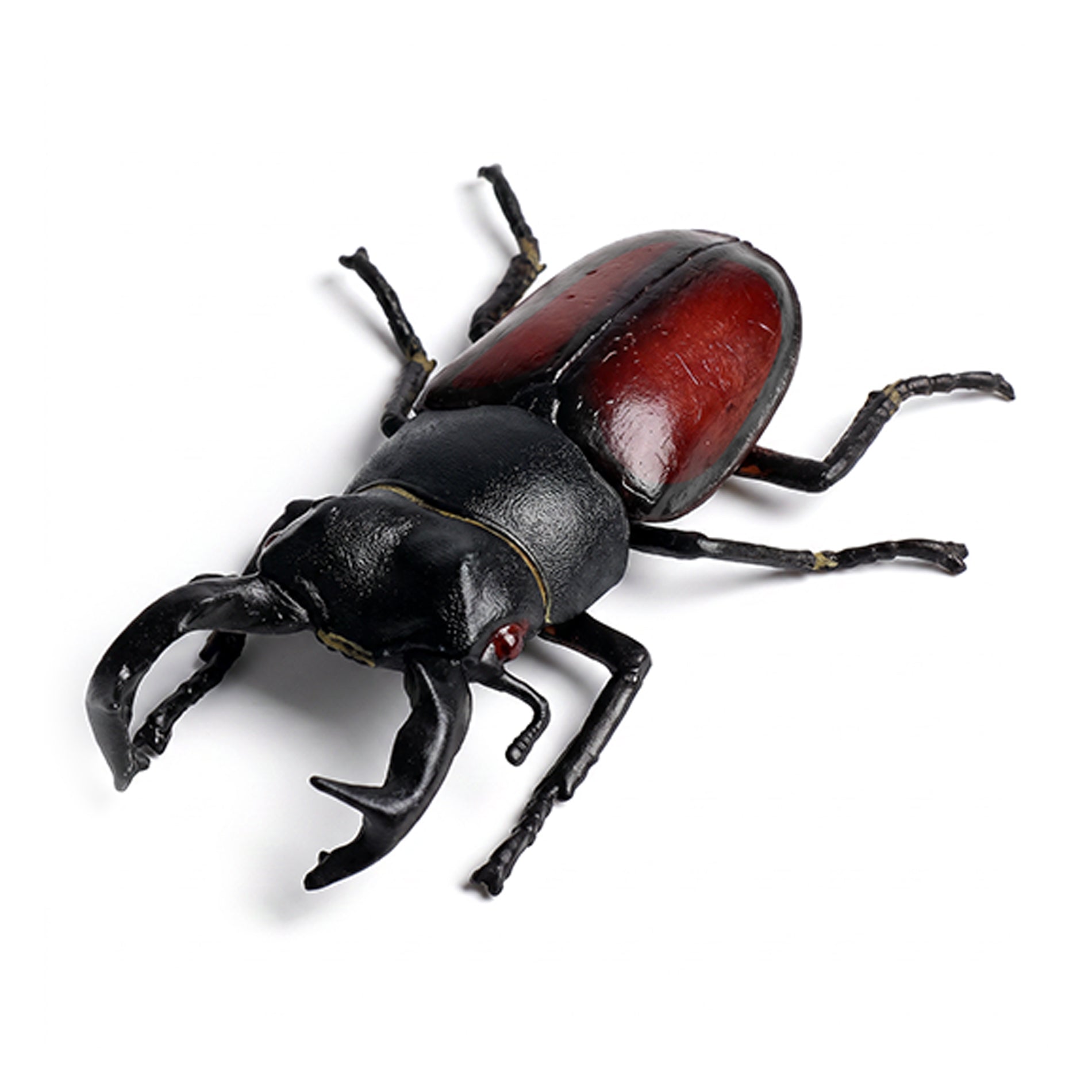 Insect - Stag Beetle 7 Cm