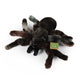 Plush Spider 20 Cm Eco-friendly Plush World