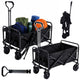 Carro de transporte plegable para jardín y playa negro 120l