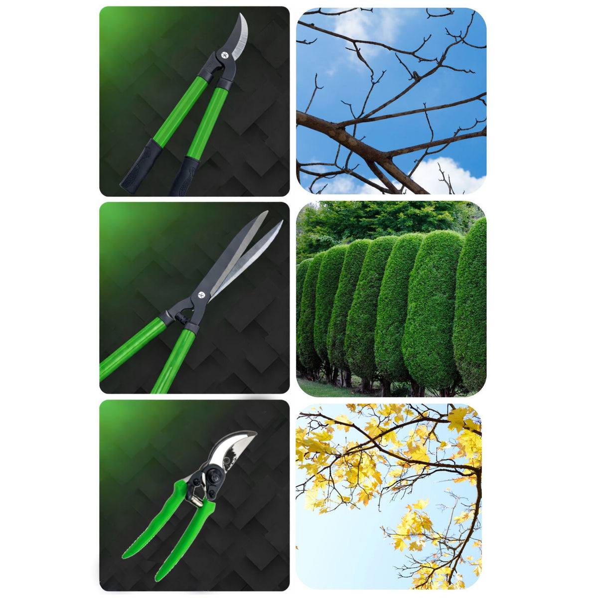 Set Of Garden Hedge Pruners With Case 3 Pcs.