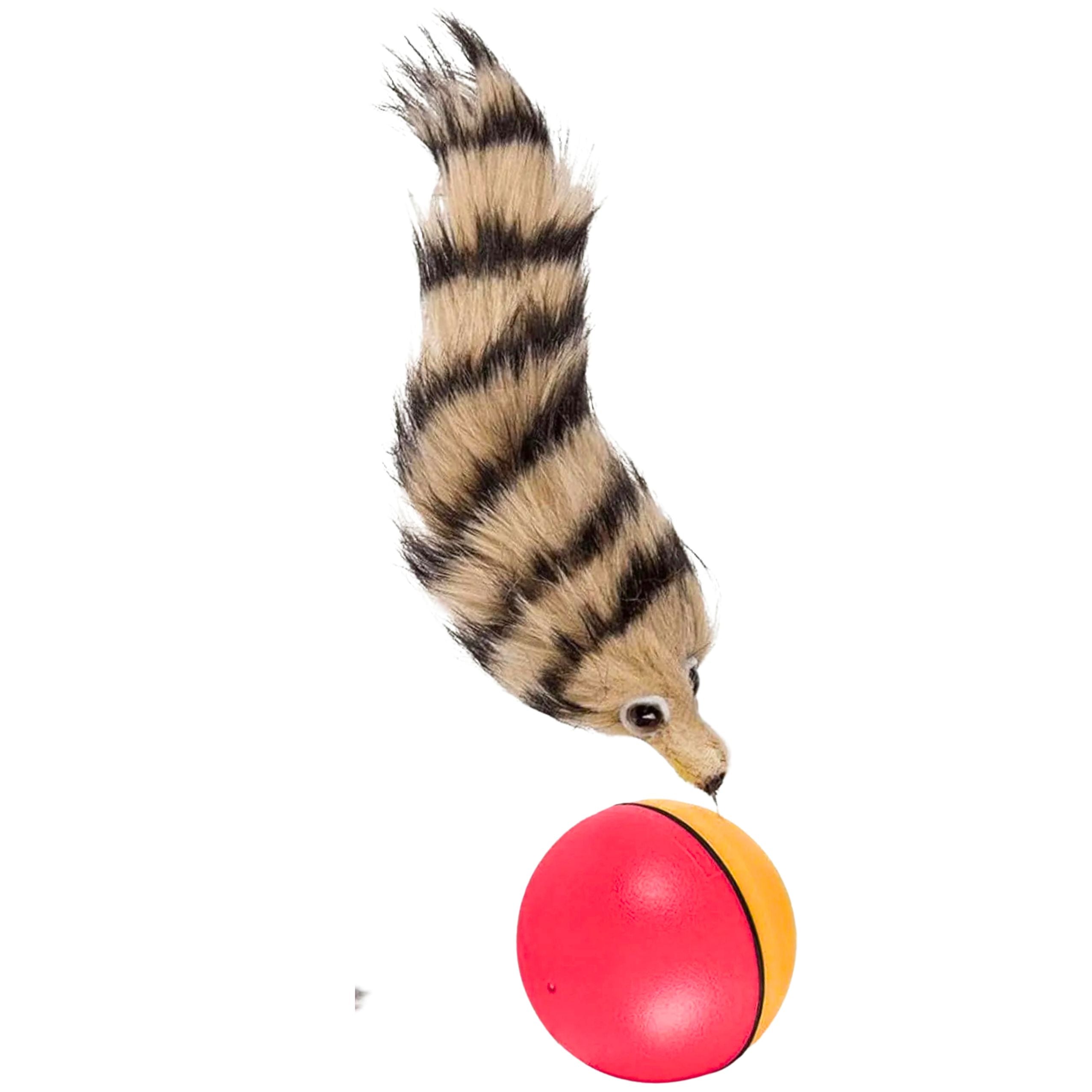 Ball With Fluffy Ferret Tail Interactive Toy For Children