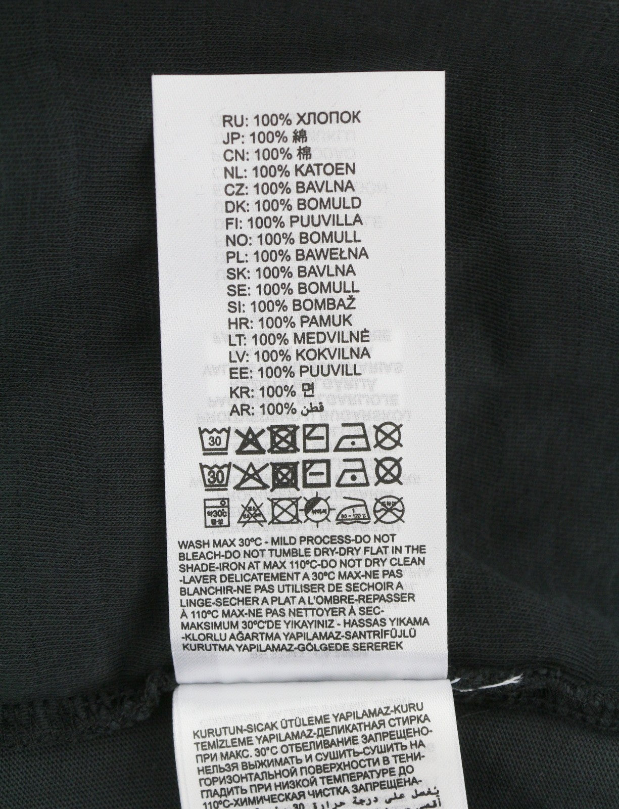 T-shirt T-crane-ls-hood