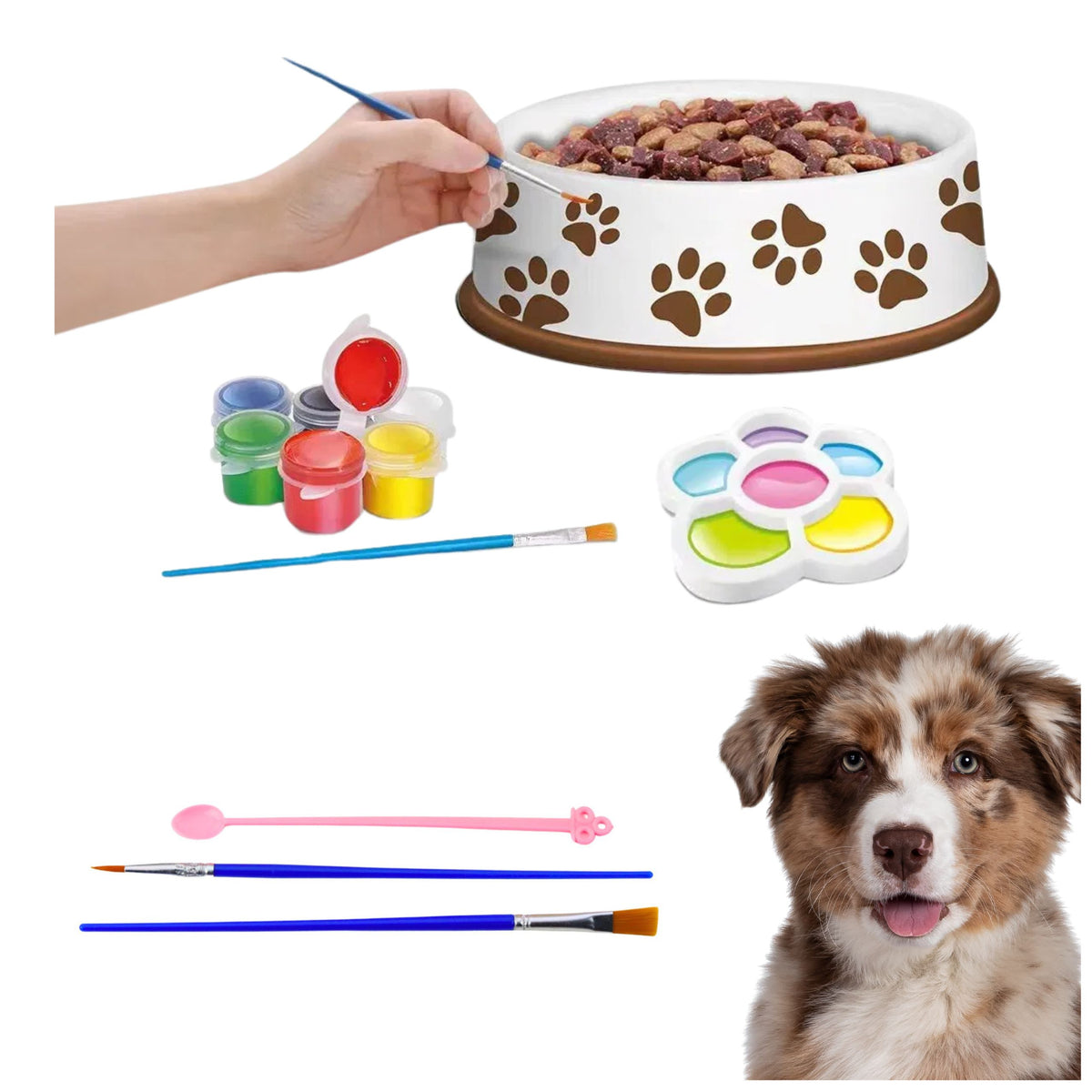 Creative Set Dog Bowl For Painting Paints Brushes Diy 6 Pcs.