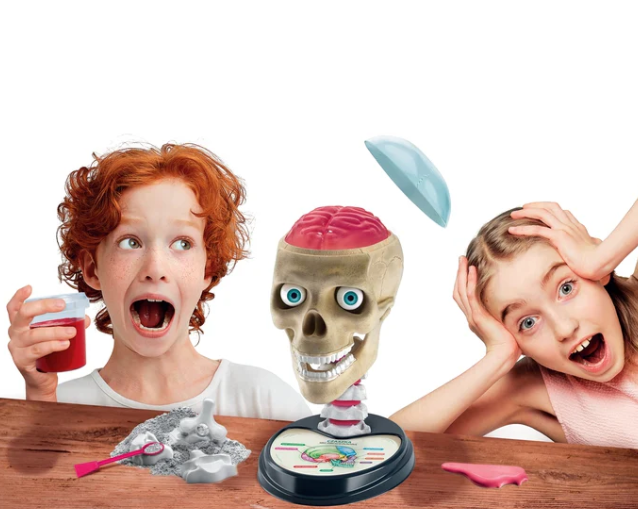 Scientific Fun Crazy Anatomy Kit Polish Language Clementoni 50697