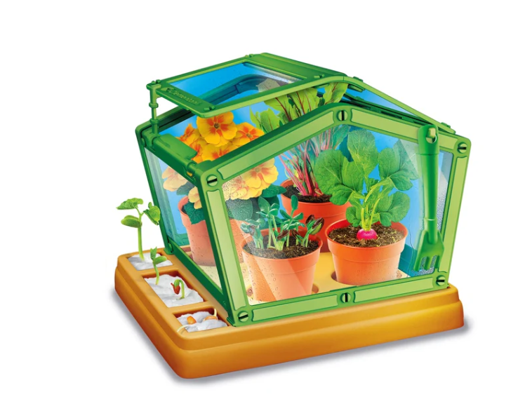 Ciencia y juego Mi primer laboratorio de invernadero Botánica y plantas Idioma polaco Clementoni 50861