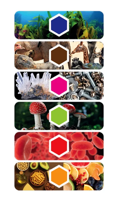 Microscope numérique interactif scientifique et amusant avec caméra Ai et Wi-Fi Clementoni 50406