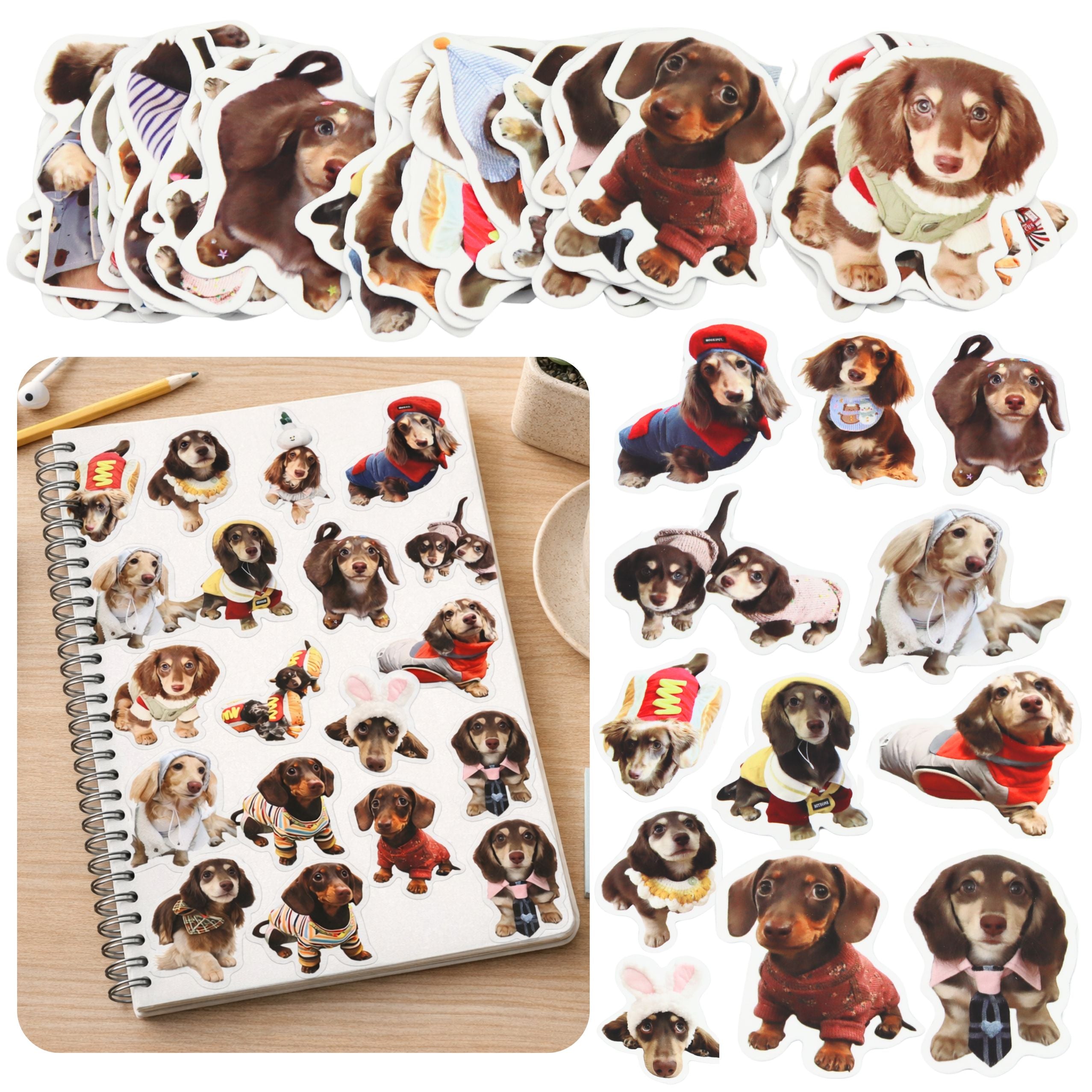 Set Of Paper Stickers With Spaniel Dogs For Decorating 50 Pcs.
