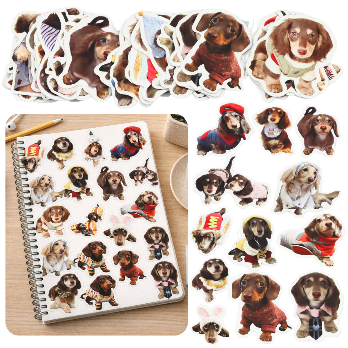 Set Of Paper Stickers With Spaniel Dogs For Decorating 50 Pcs.