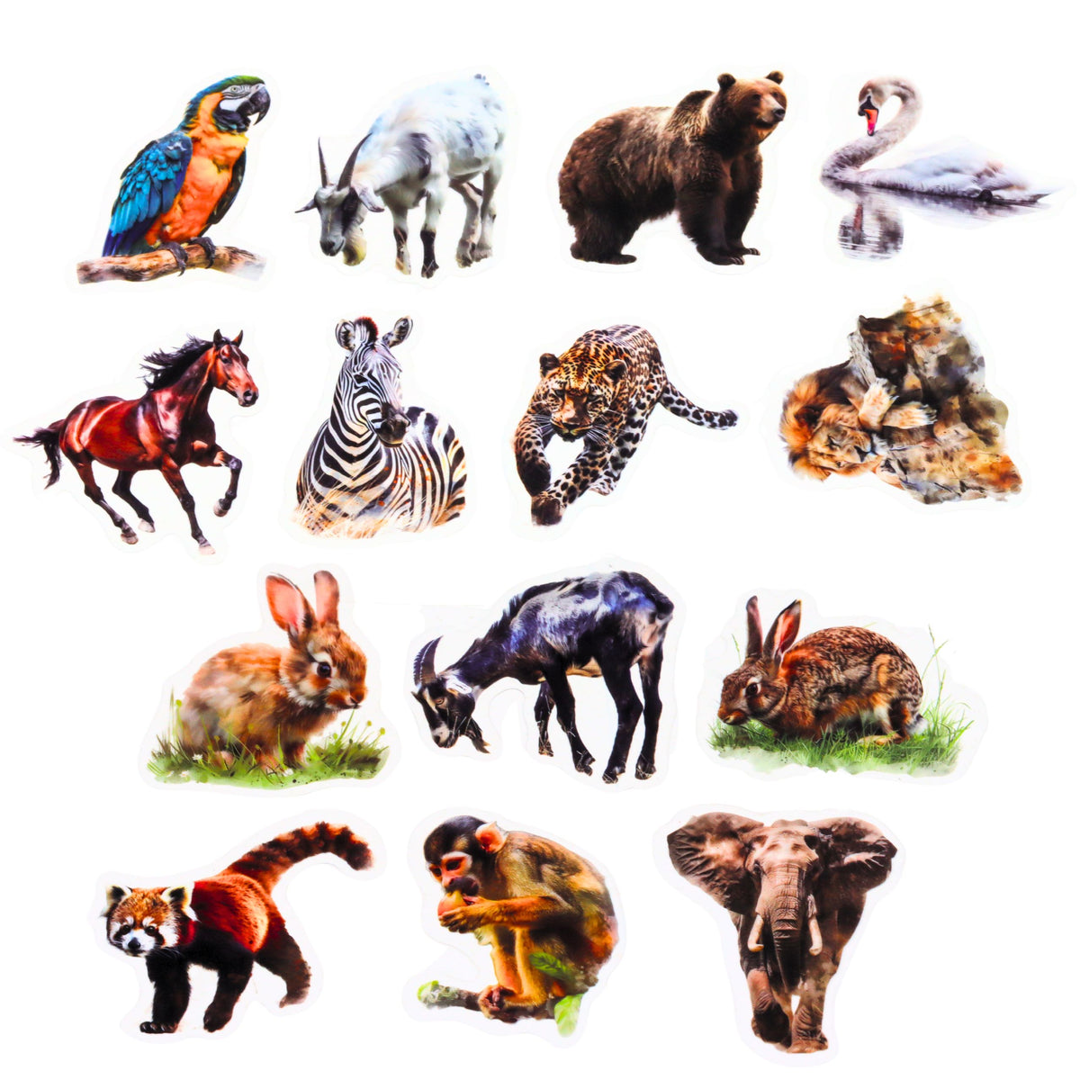 Set Of Slippery Transparent Wild Animal Stickers 50 Pcs.