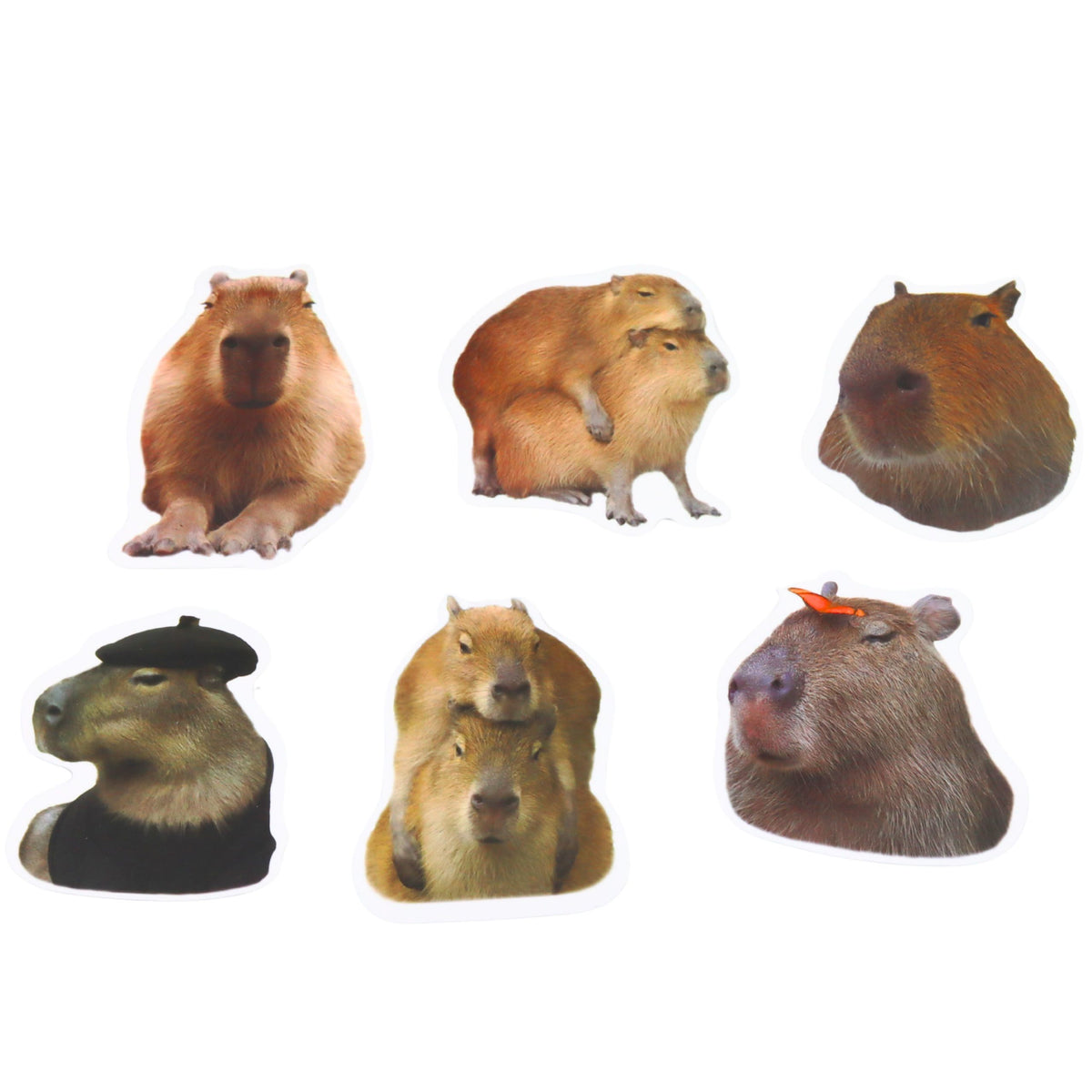 Capybara Paper Stickers Set Real Images 50 Pcs.
