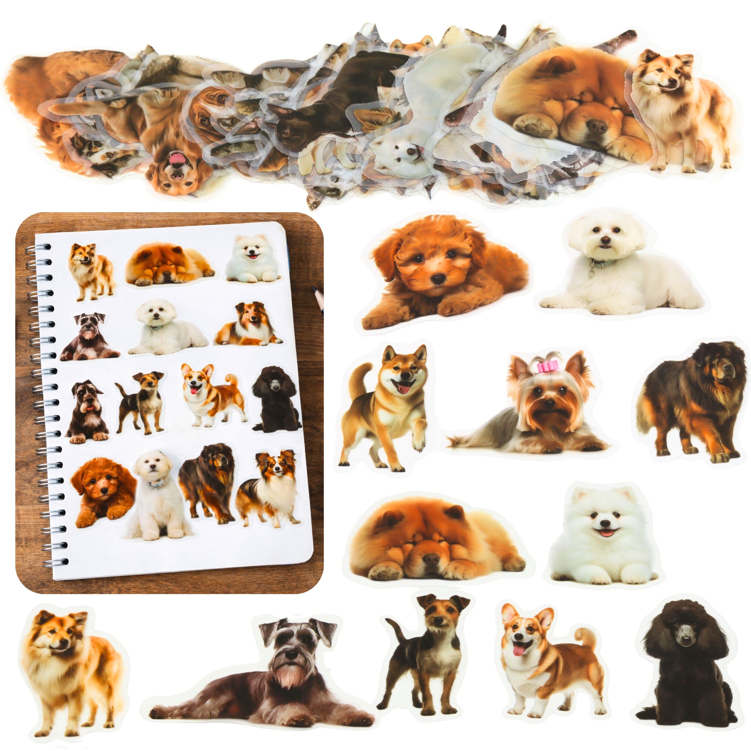 Set Of Dog Stickers Various Species Slippery Transparent 50 Pcs.