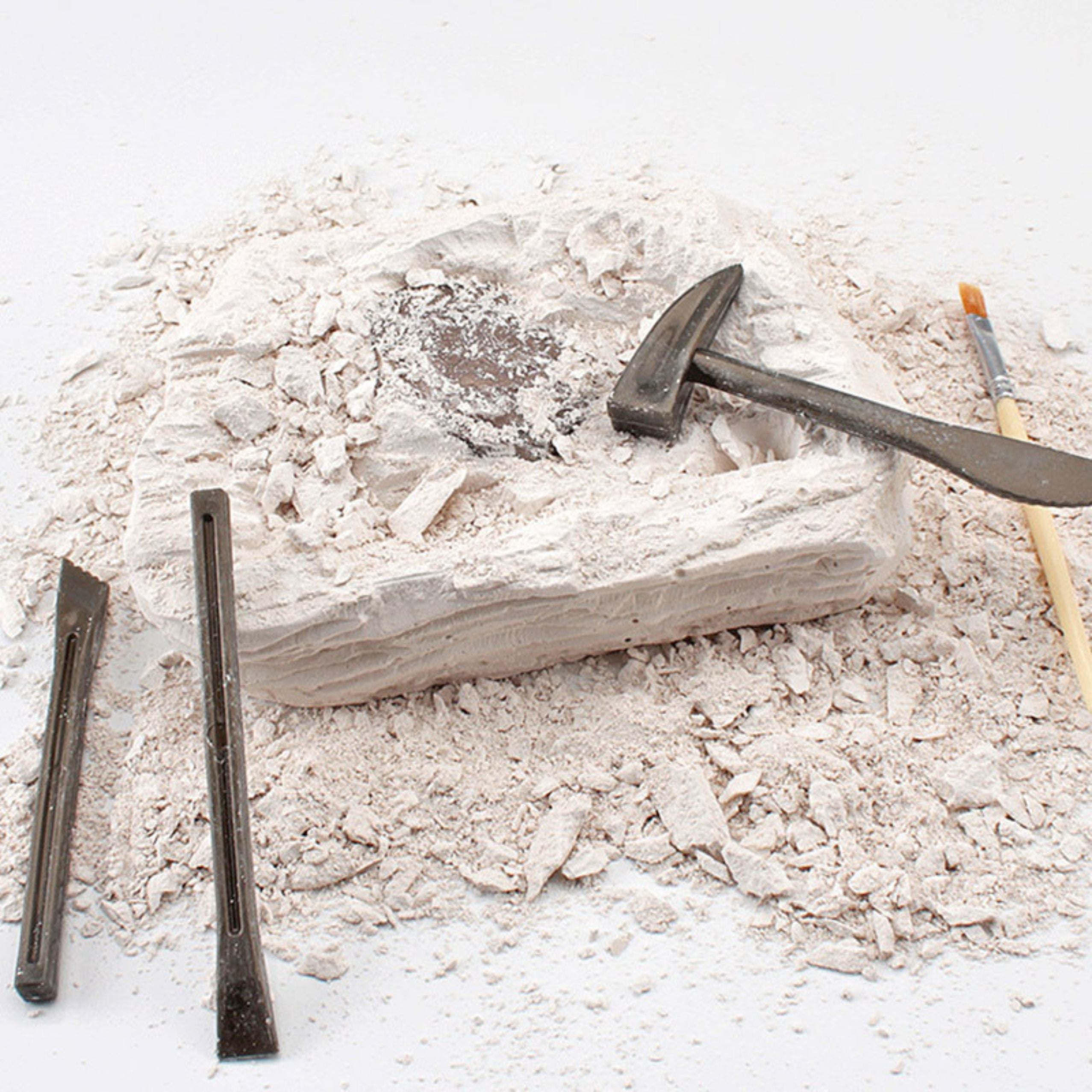 Paleontology Excavation Kit Plaster Block Tools