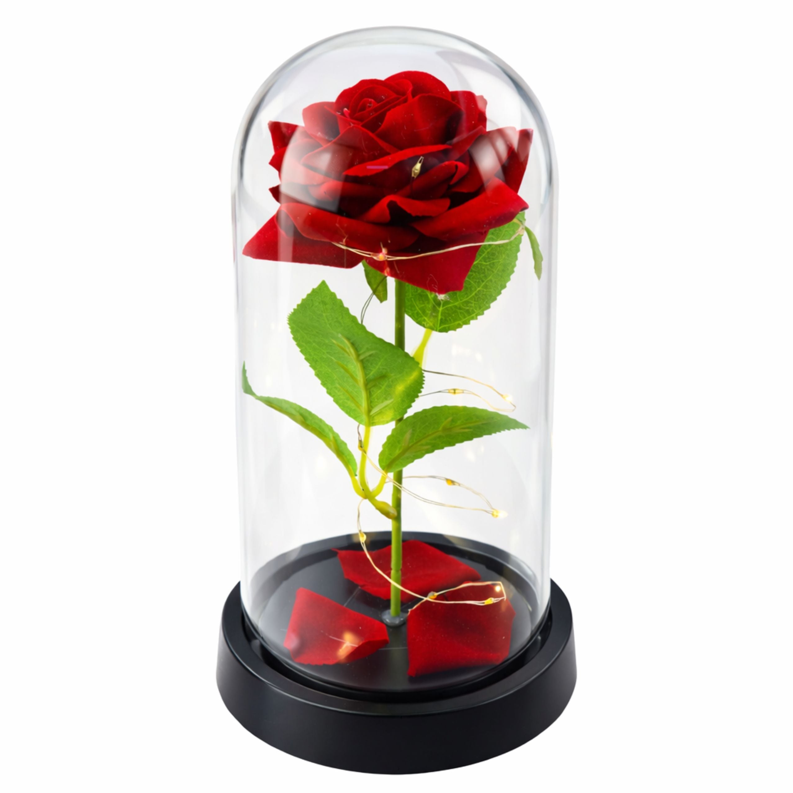 Eternal Rose In Glass Dome Led Lighting Red 21.5 X 11 Cm