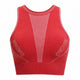 Sports Bra Turbo Seamless