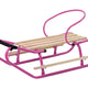 Metal Sled With Backrest Strap Pink