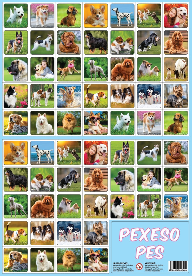 Memory Game Dog