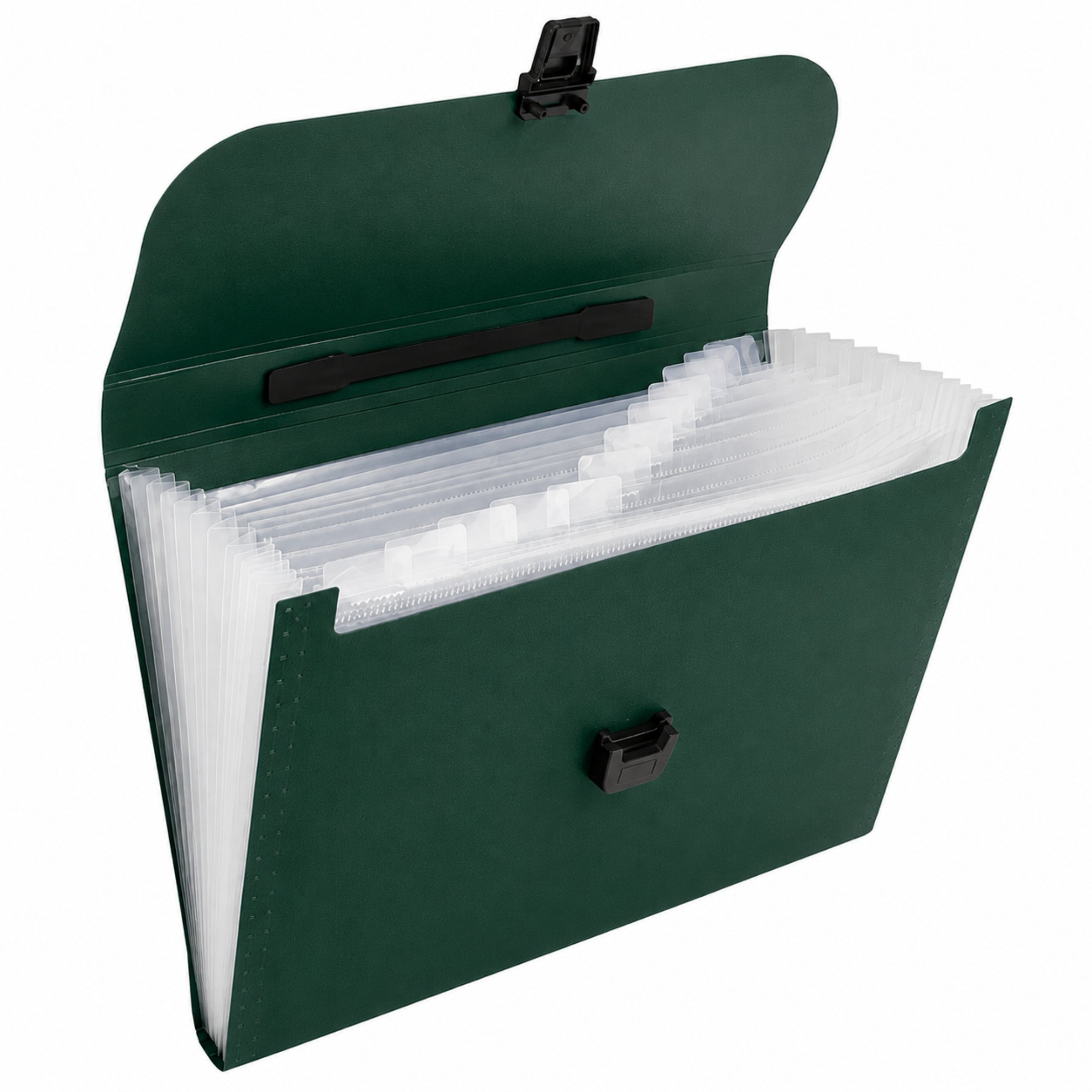 Folder Organizer For Documents 13 Compartments Green A4 Holder