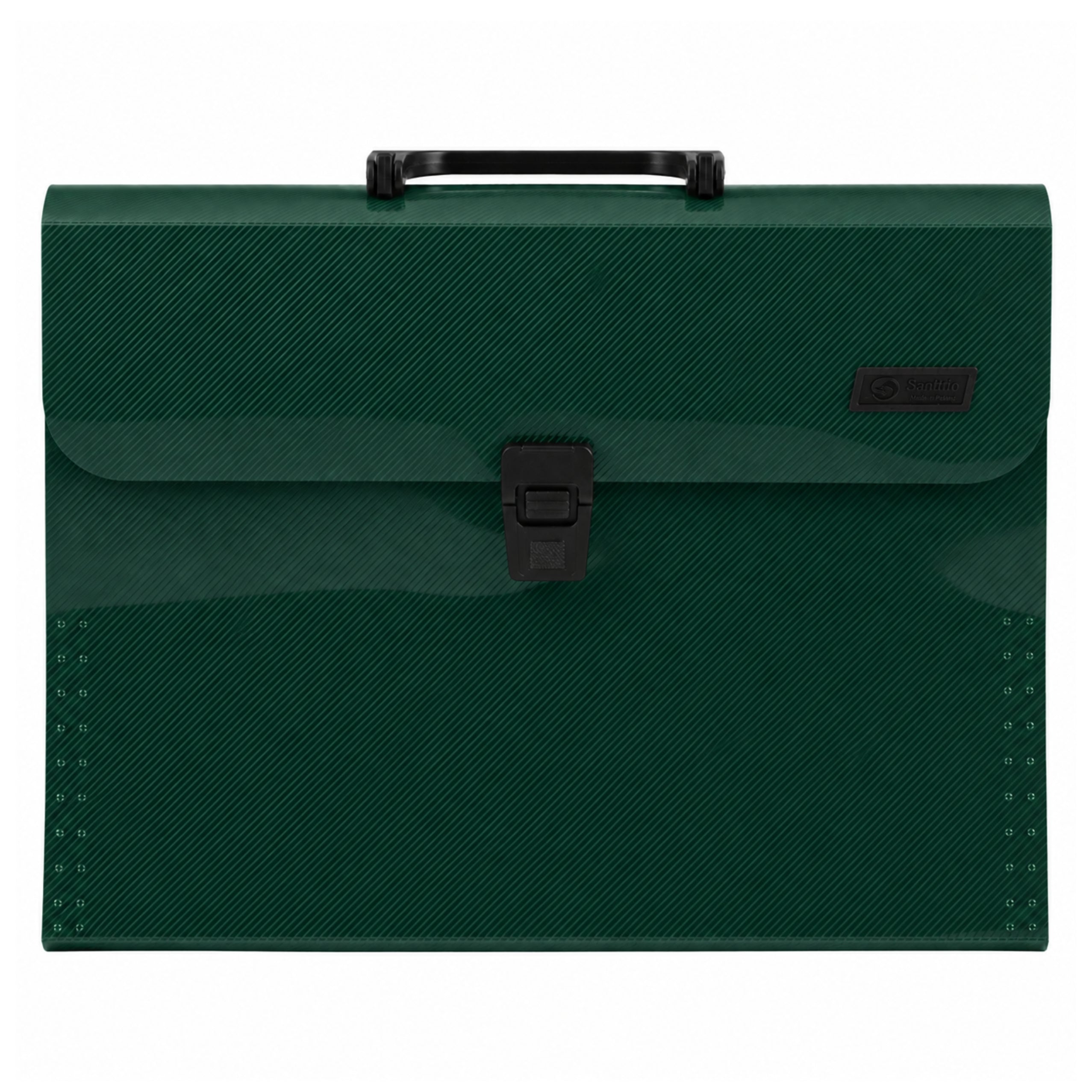 Folder Organizer For Documents 13 Compartments Green A4 Holder