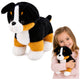 Plush Soft Dog Cuddly Toy Bernese Mountain Dog 30x30 Cm