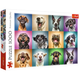 Puzzle – 1000 - Funny Dog Portraits – Zabawne Psie Portrety - Trefl 10462