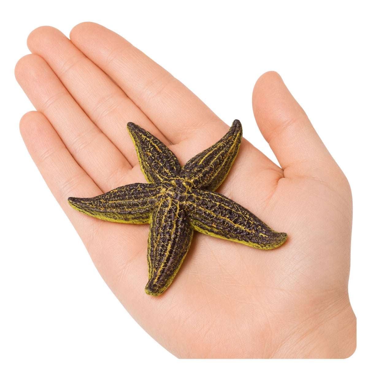 Starfish Rubber Figurine Stretchable Realistic Sea Animal 9.5 Cm