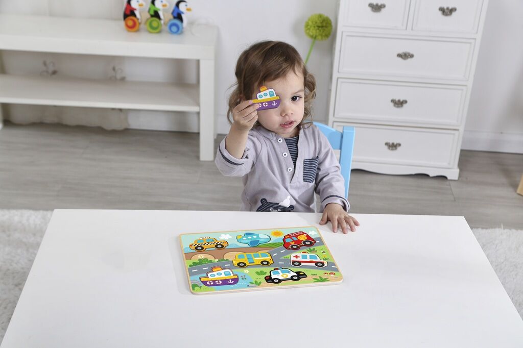 2kids Toys Insertion Puzzle Shipping