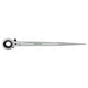 Ratchet Scaffold Spanner 19 X 22 Mm Proline