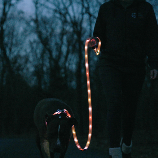 Guinzaglio e collare per cani illuminati - Guinzaglio per cani