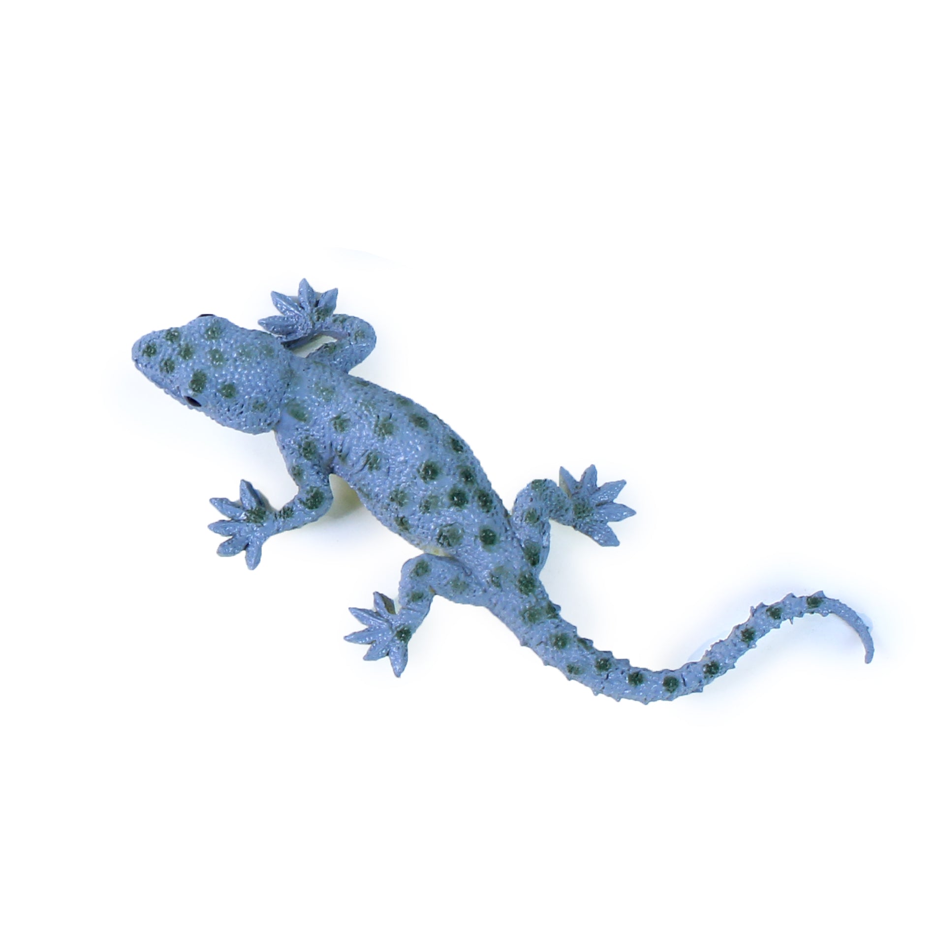 The Lizards 4 Pcs In A Packet