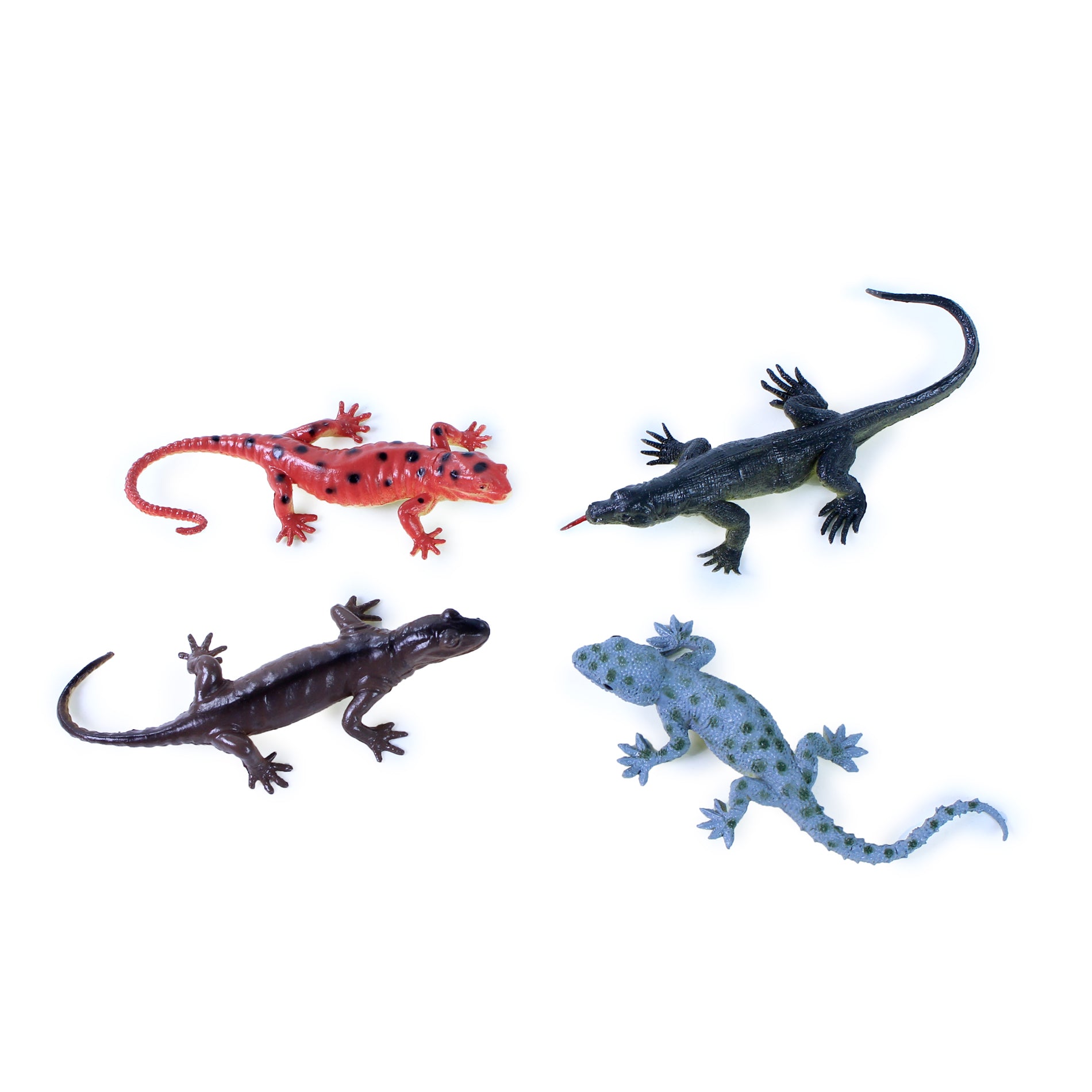 The Lizards 4 Pcs In A Packet