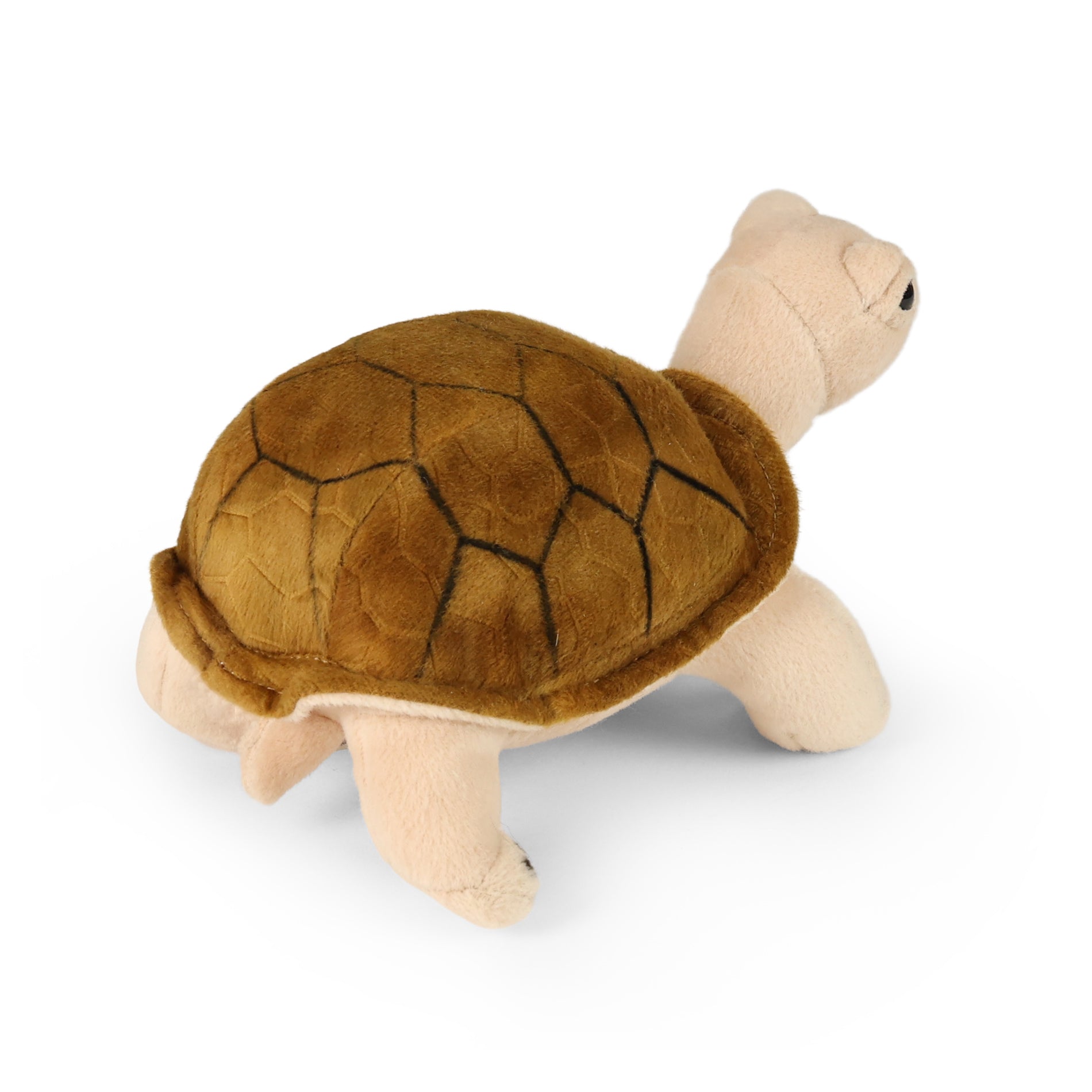 Plush Turtle Agatha 25 Cm Eco-friendly