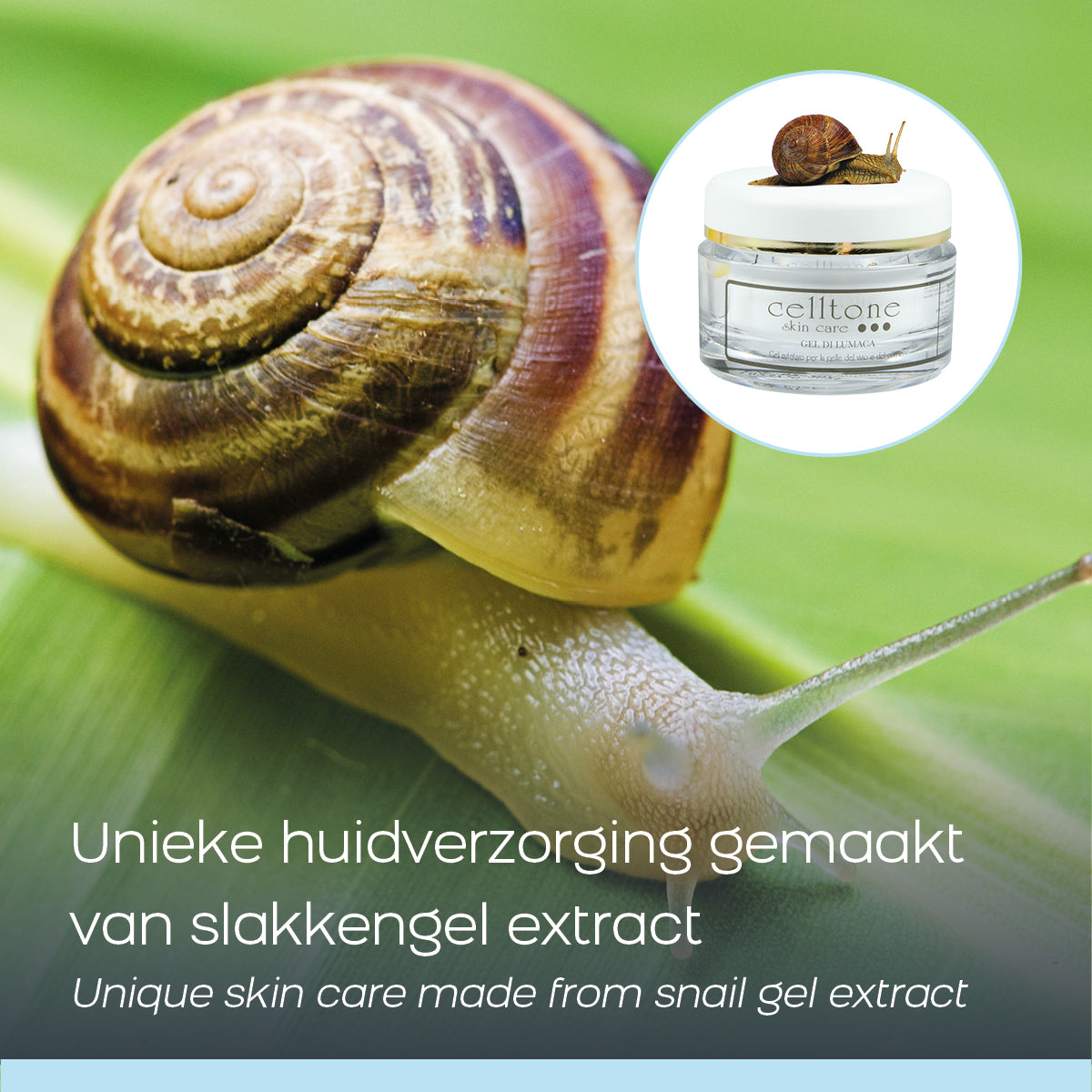 Celltone – šnečí gel – krém na obličej