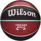Nba Team Tribute Basketball – Chicago Bulls