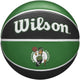 Cispheil Tribute Team Nba - Boston Celtics