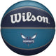 Nba Team Tribute Basketball – Charlotte Hornets