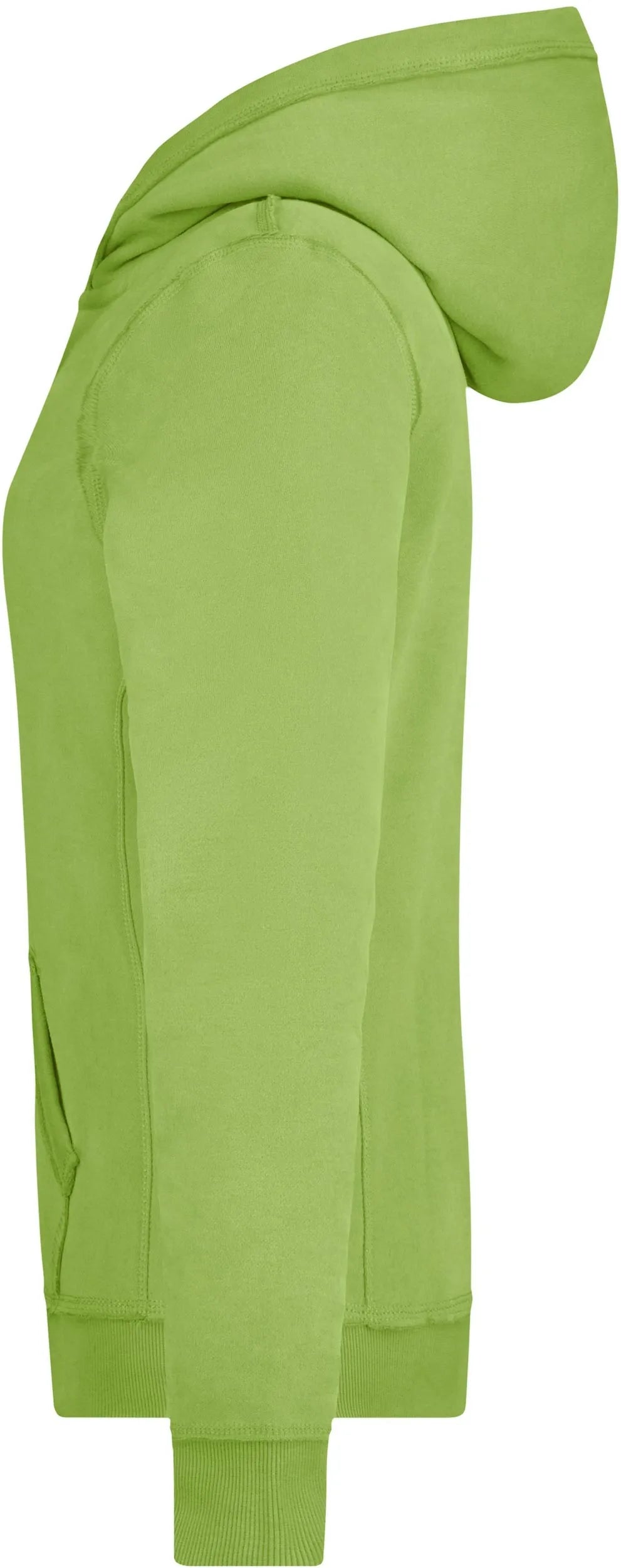 Sweat Femme James & Nicholson Vintage Hoody Vert