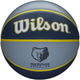 Pallacanestro tributo alla squadra Nba - Memphis Grizzles